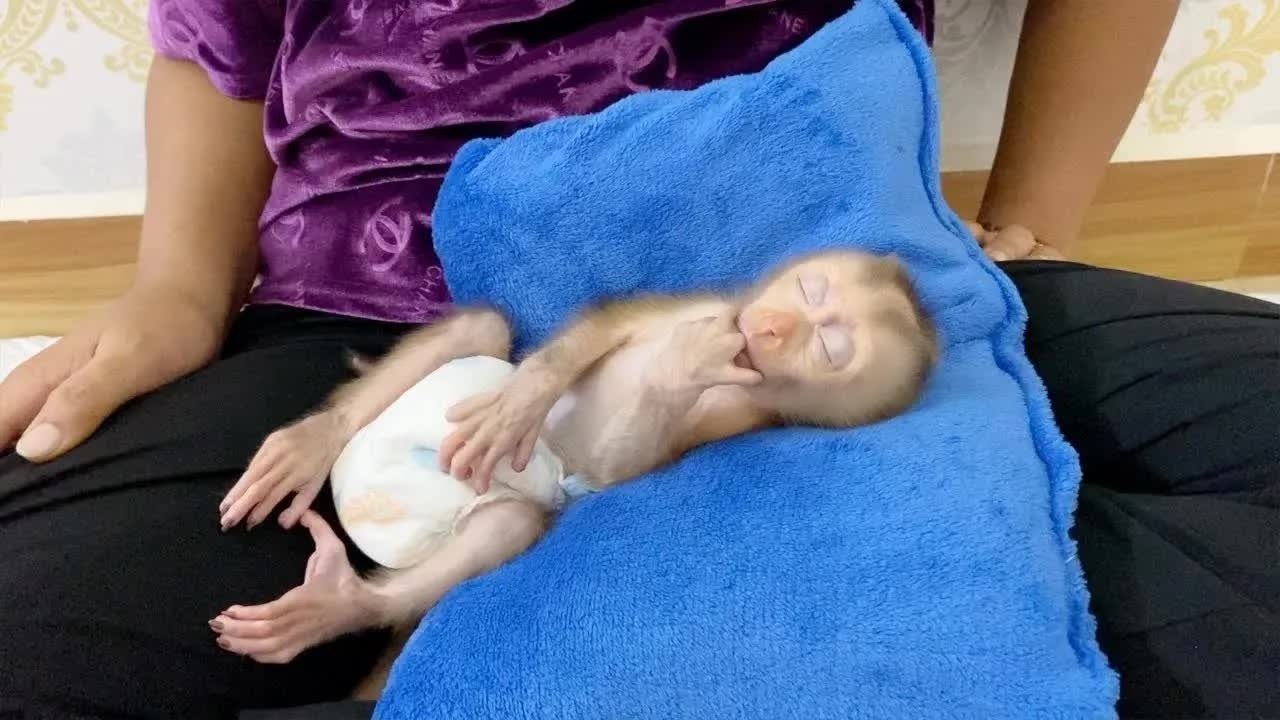 Appealing BB DAM So Beautiful Soundly Asleep On Mommy