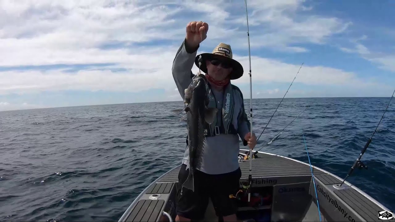 Love chasing reefies in the north - a Reel Kiwi fishing adventure