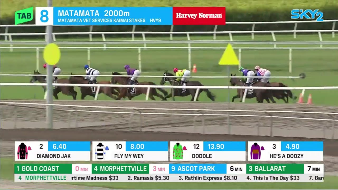 Скачки Kaimai Stakes 2026 - DIAMOND JAK (Hcp OPEN LR) Listed Matamata NZ 14 февраля