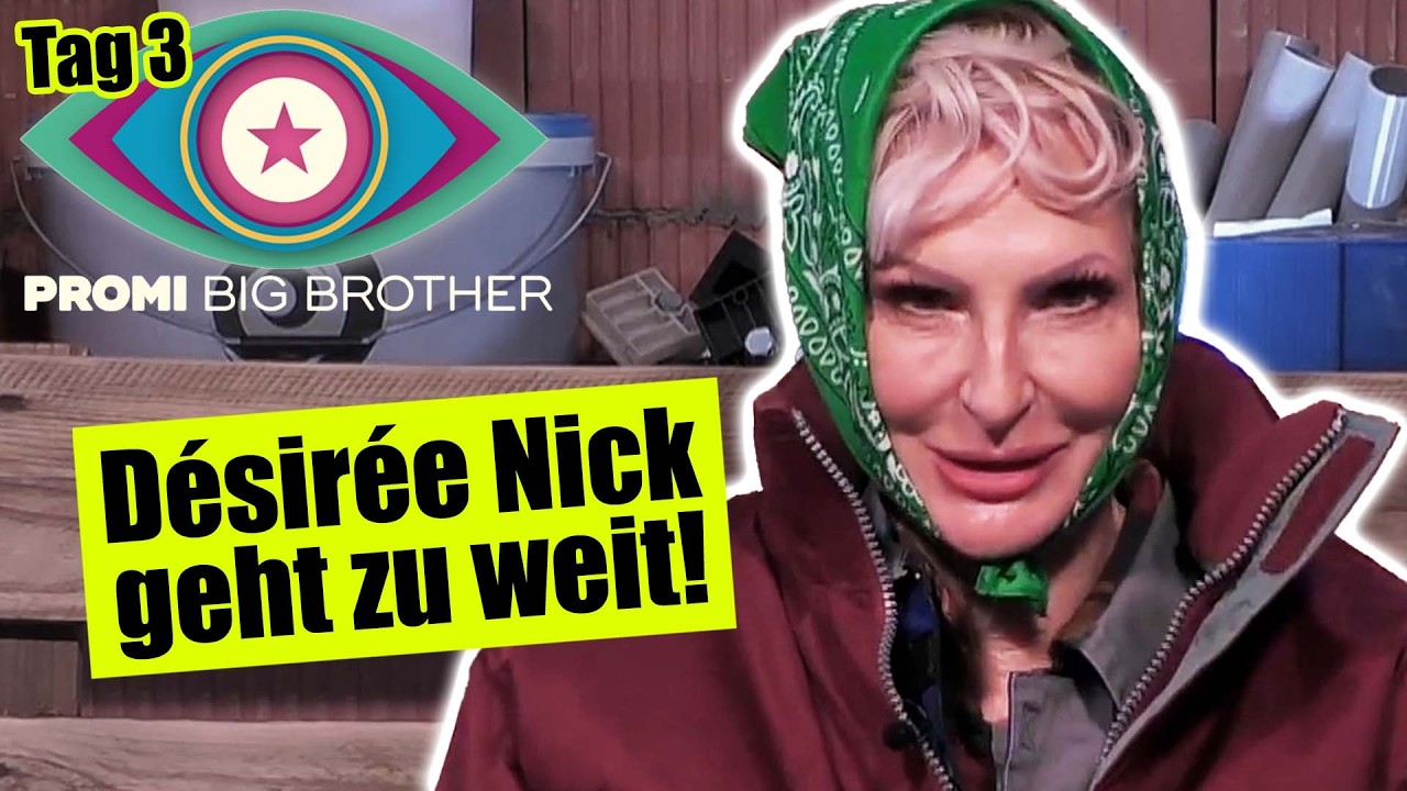 DESIREE NICK GEHT ZU WEIT? | Promi Big Brother 2025 Tag 3