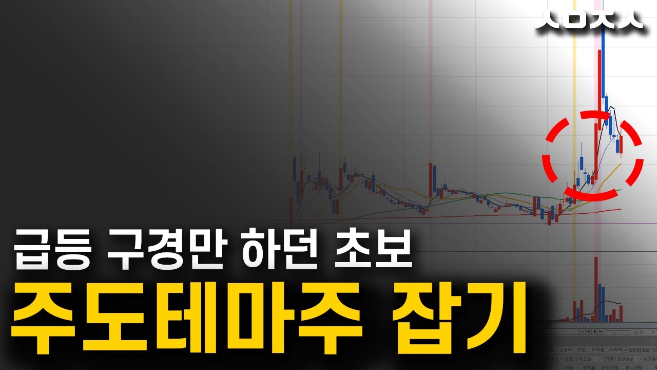 급등 테마주 매매법 차트 공부하는 방법