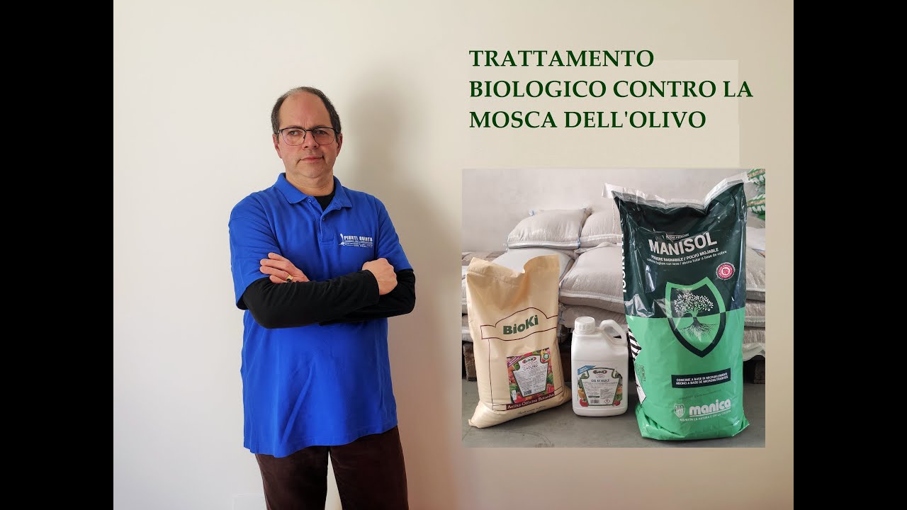 Trattamento BIOLOGICO contro la MOSCA DELL'OLIVO