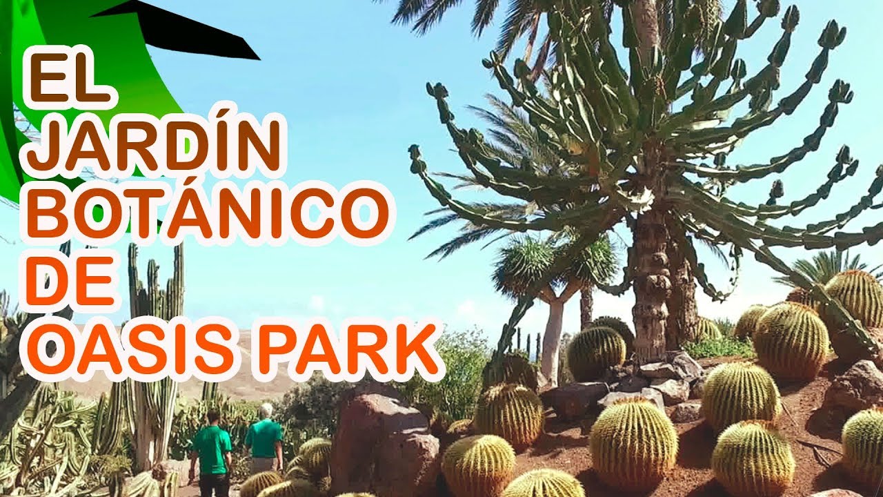 El JARDÍN BOTÁNICO de Oasis Park Fuerteventura