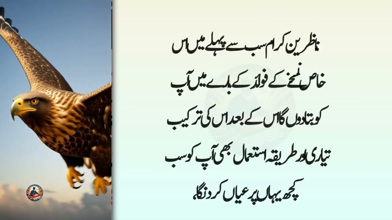 Deep Islamic Quotes | Life Lessons | Rumi Quotes in Urdu | Motivational Shayari | Success Tips