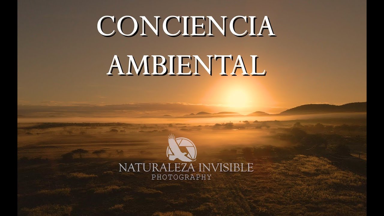 CONCIENCIA AMBIENTAL