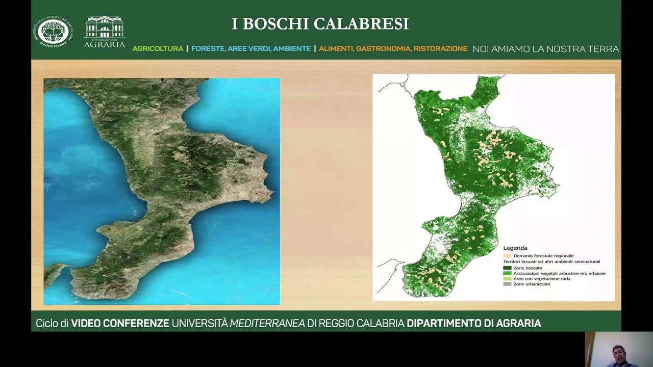 La Calabria e la risorsa Legno docente Andrea R Proto