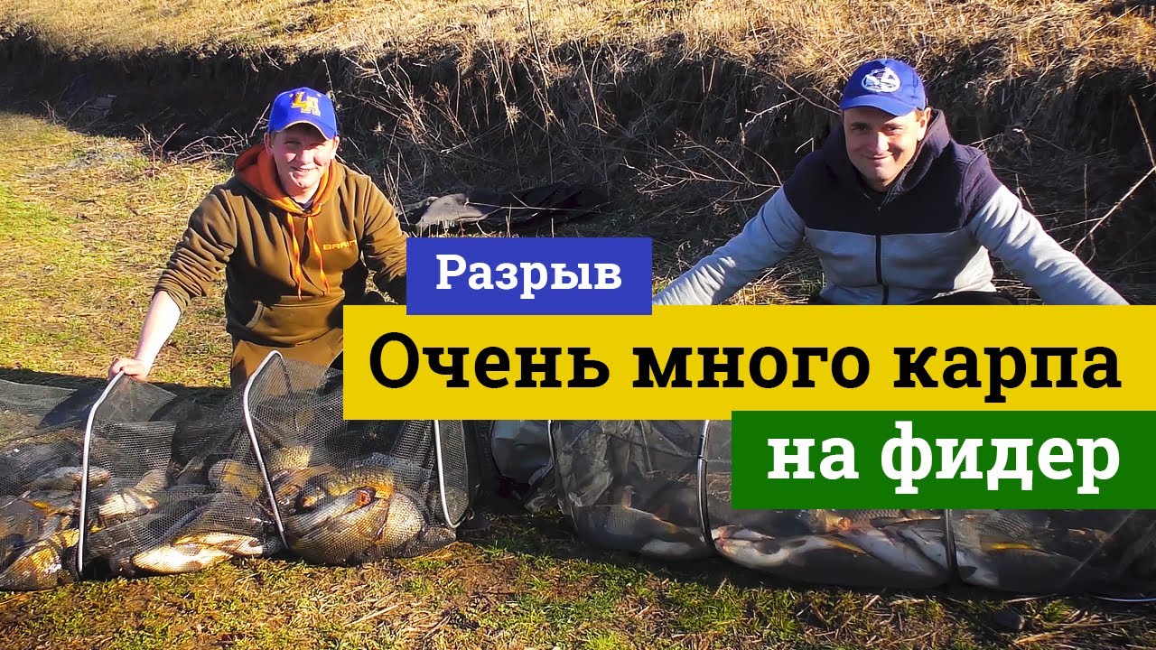 Карп на фидер весной.