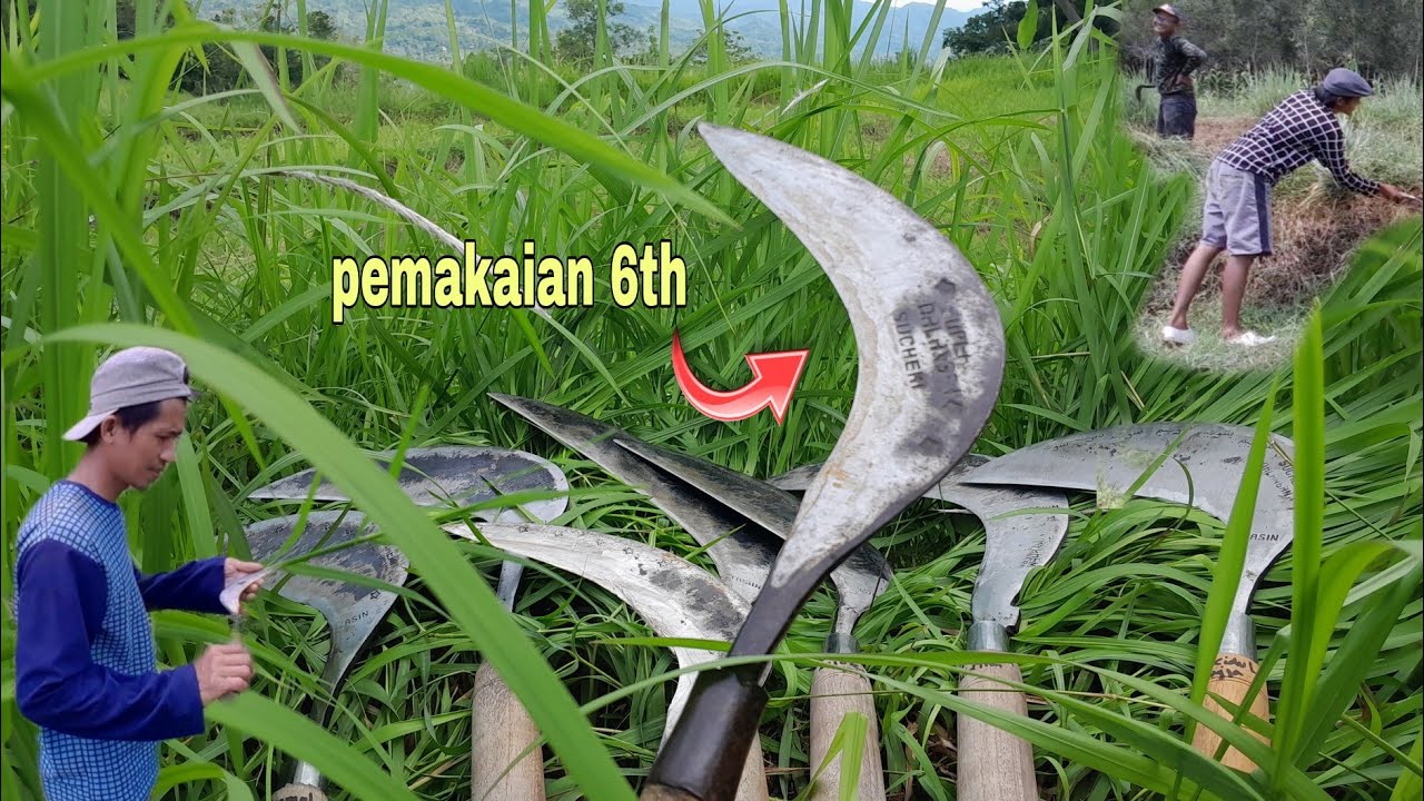 Arit Lawasan Arit Legend | Super Tajam,Test