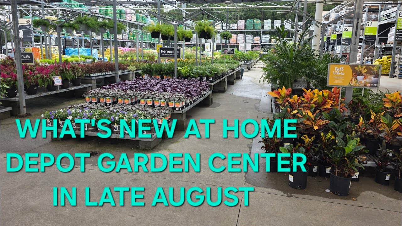 Late August New Plant Additions at Home Depot Garden Center. GA/Zone 8a.
