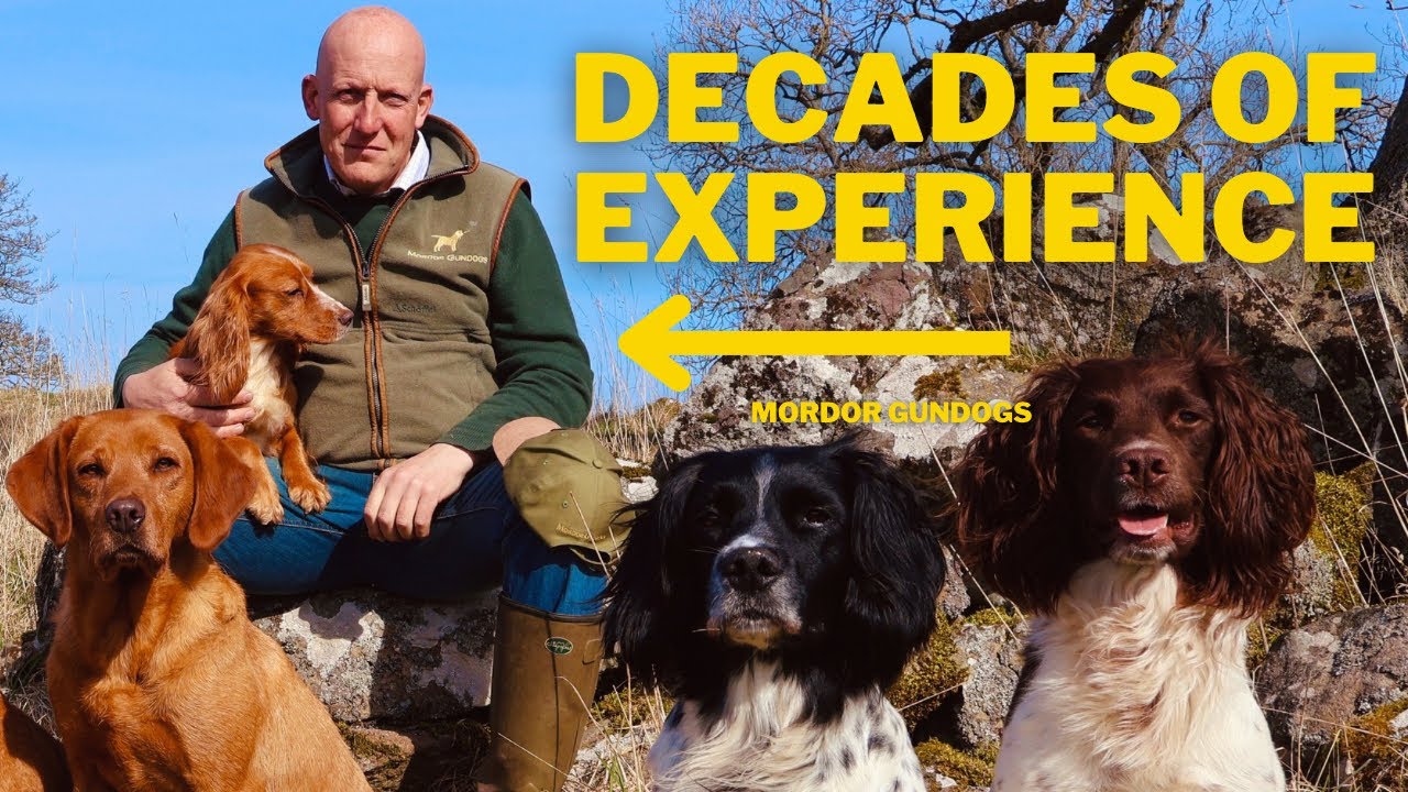 Common Dog Training Mistakes, Why High Value Treats Don’t Work & Can A Pet REALLY Be Good Gundog?