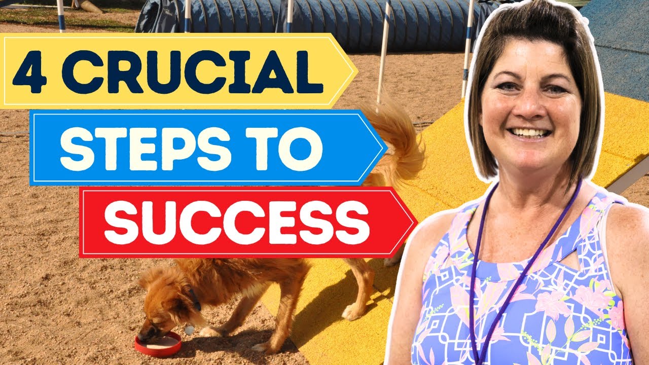 Stopped Contacts: The 4 Crucial Steps to Success | Contact Training Methods | Dog Agility Training