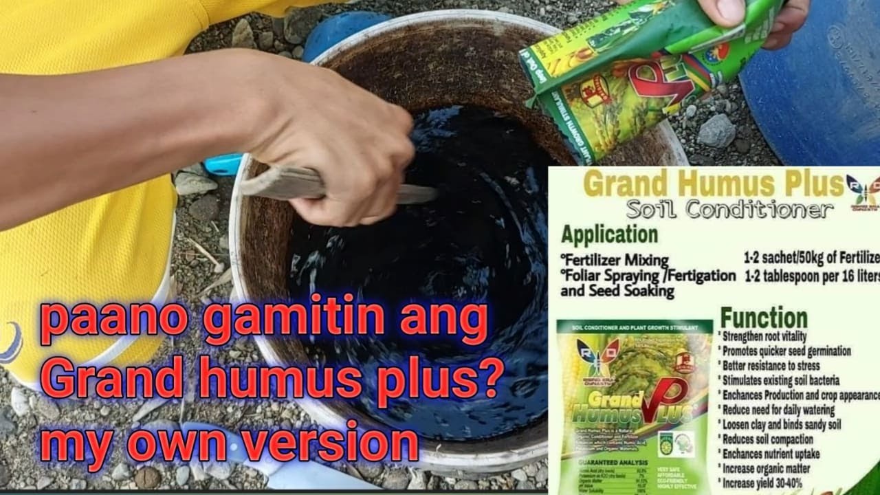 Paano gamitin ang Grand Humus Plus bilang soil conditioner? (my additional version)