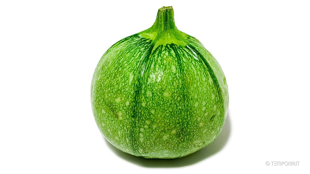 Round Zucchini Timelapse