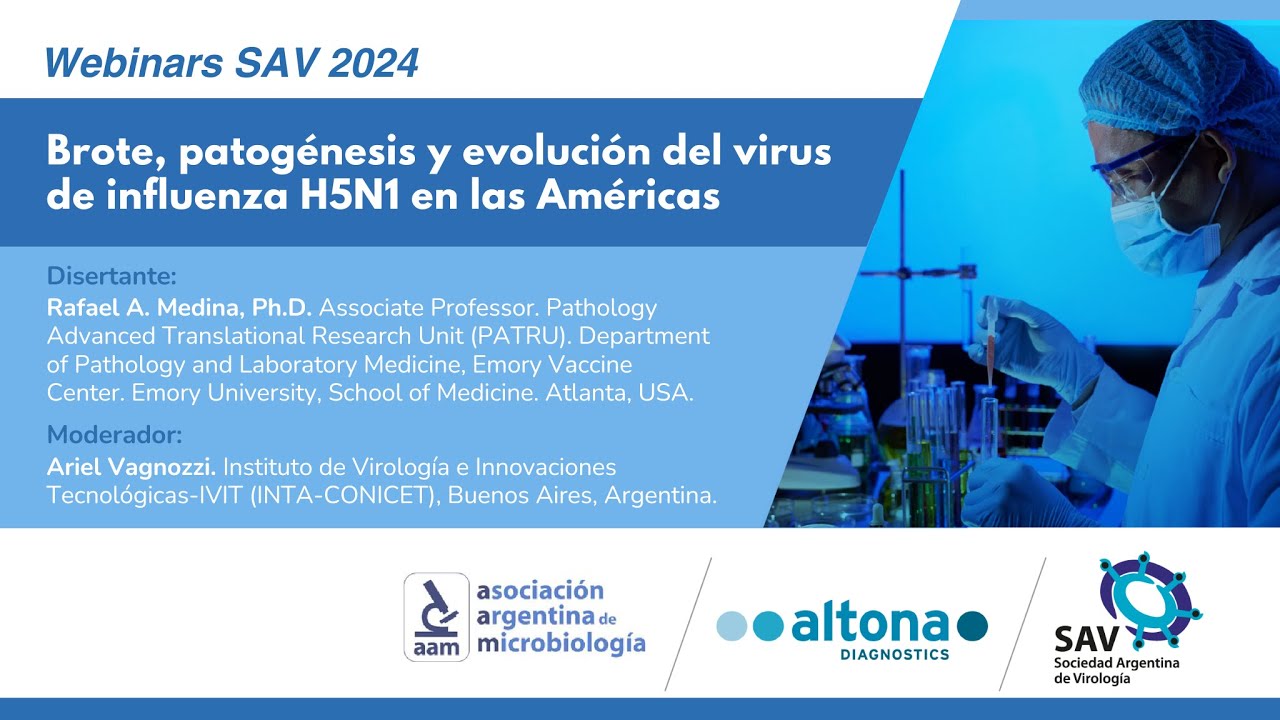 Webinar SAV 2024 -  