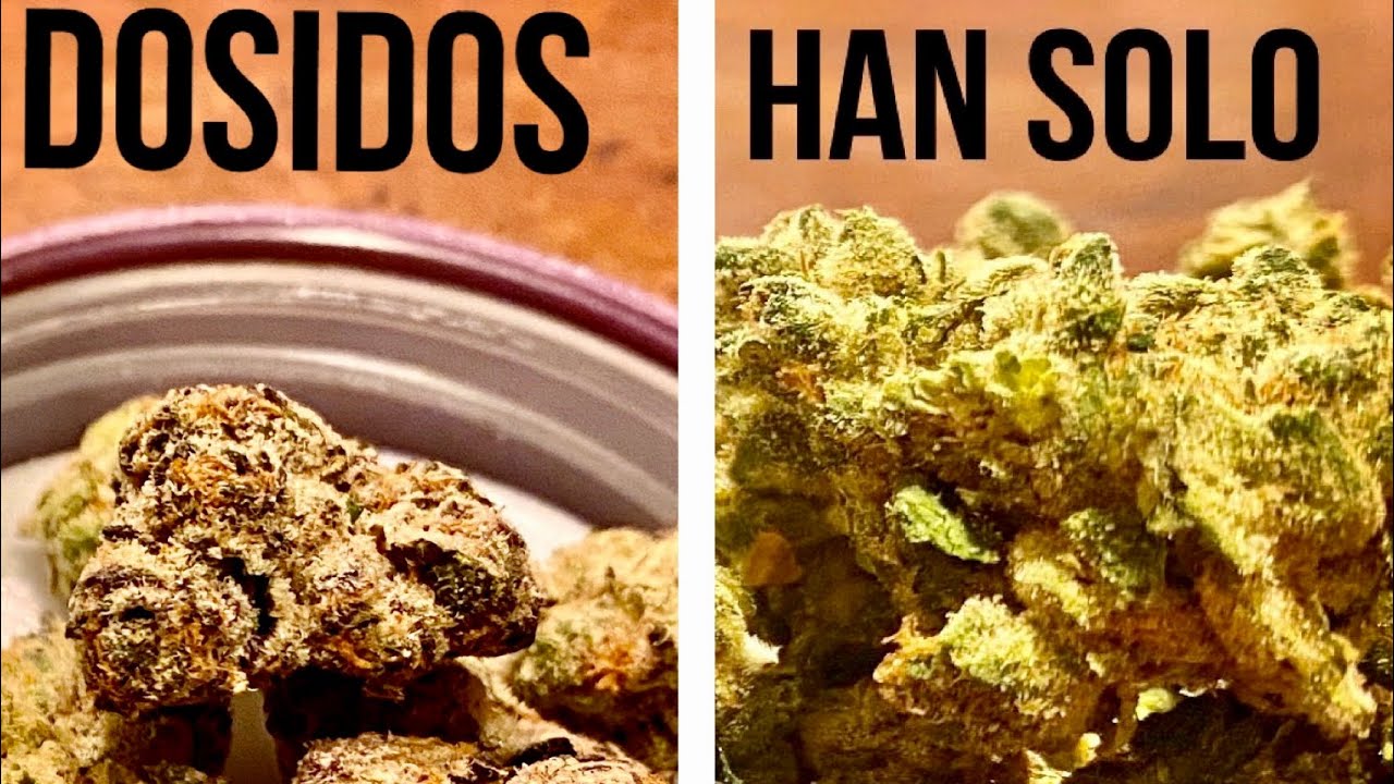 Han Solo and Dosidos Weed Review