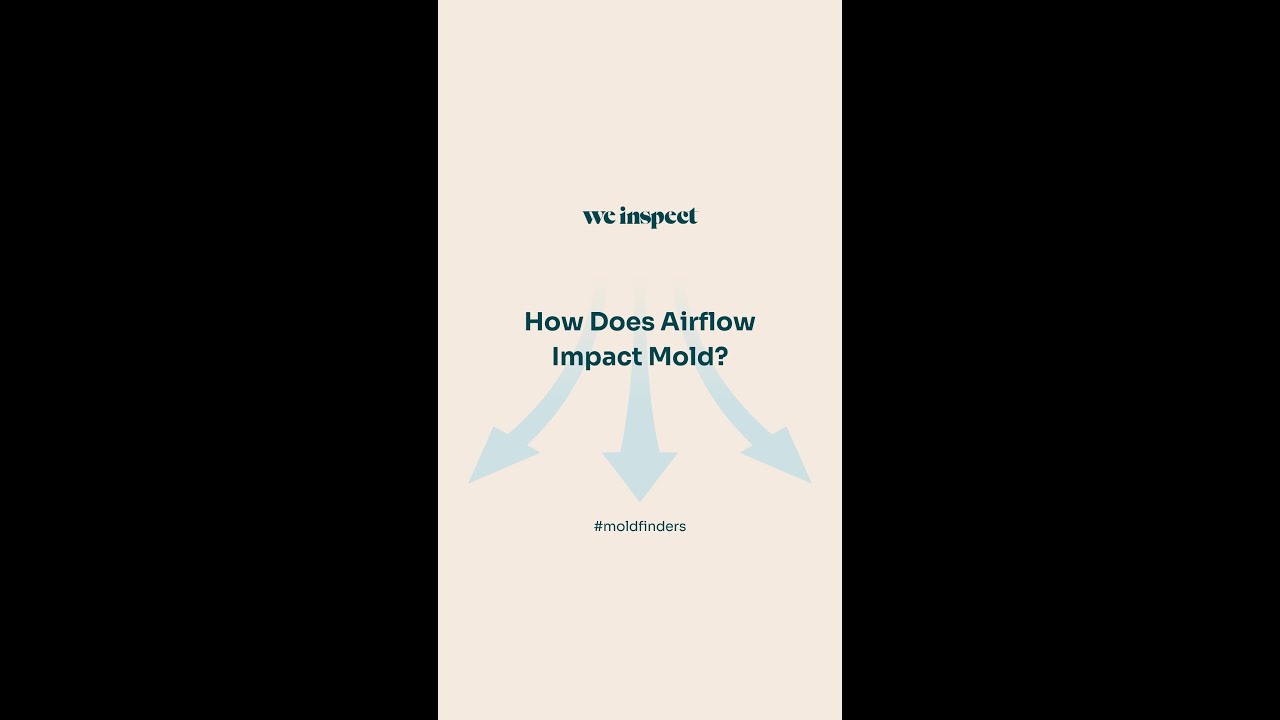 How Does Air Flow Impact Mold
