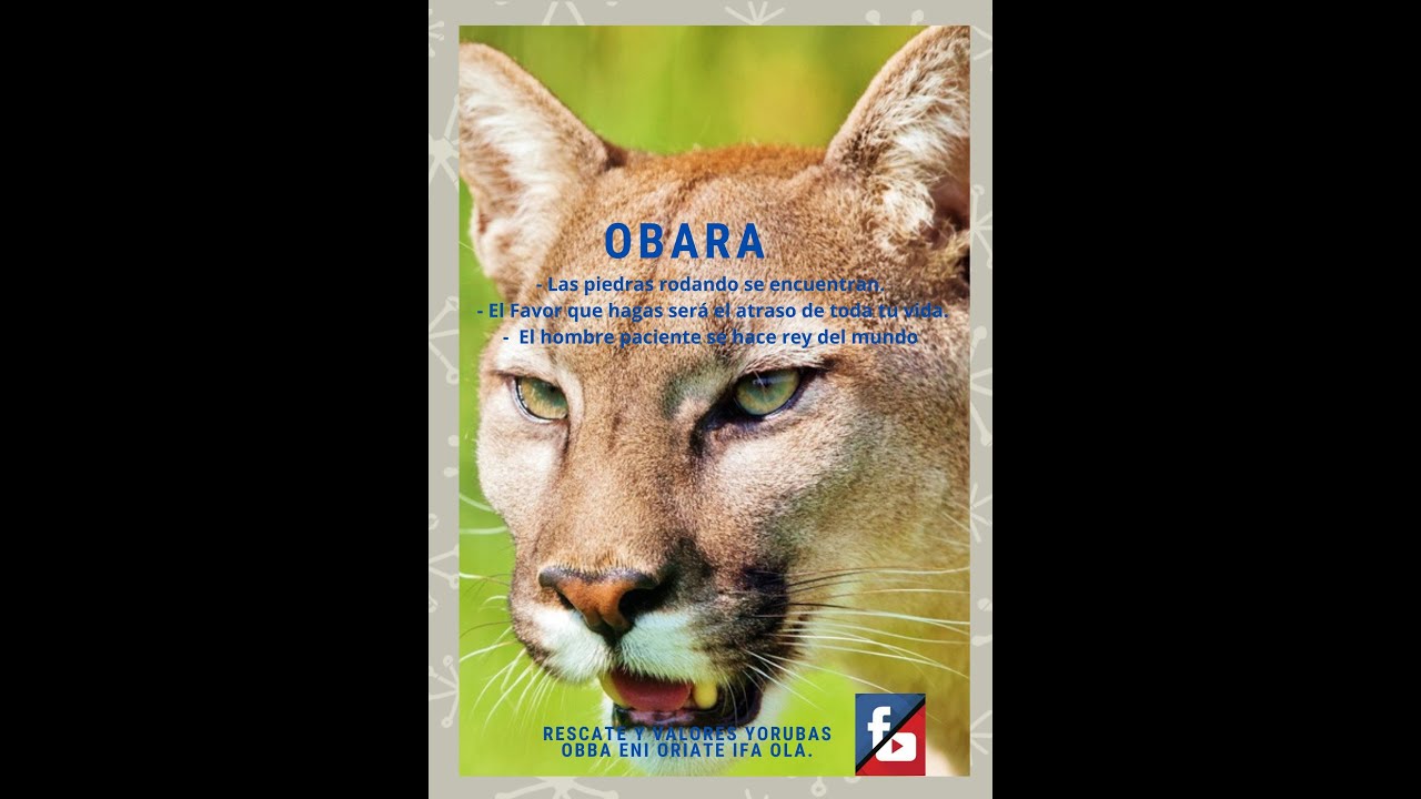 Aprendiendo del Oddun del Dilogun (6 obara)