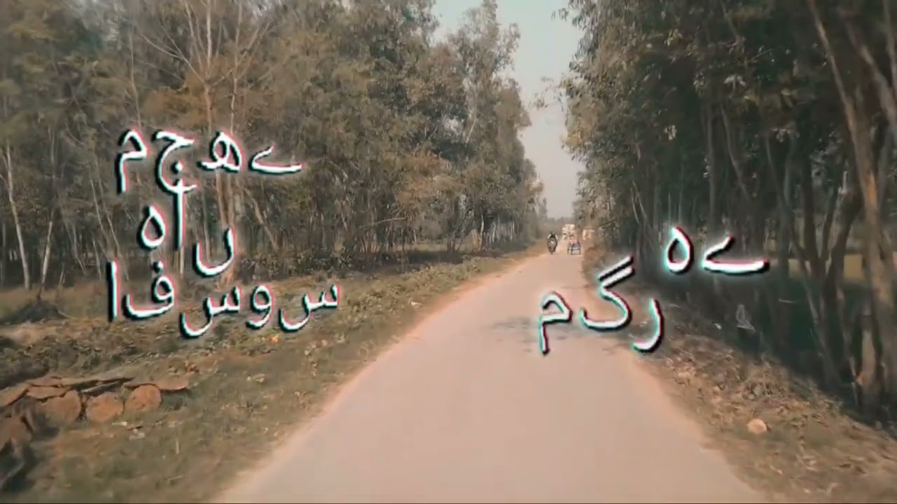Afsos hai magar sikba nhi #viral #video #shamshul 