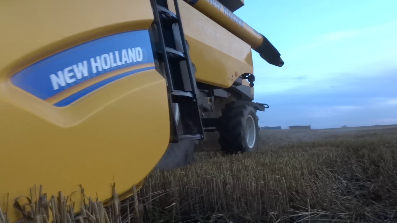 Żniwa 2017 Koszenie pszenicy ostroga New Holland TC5070 T7.200 Ursus C360 Feraboli