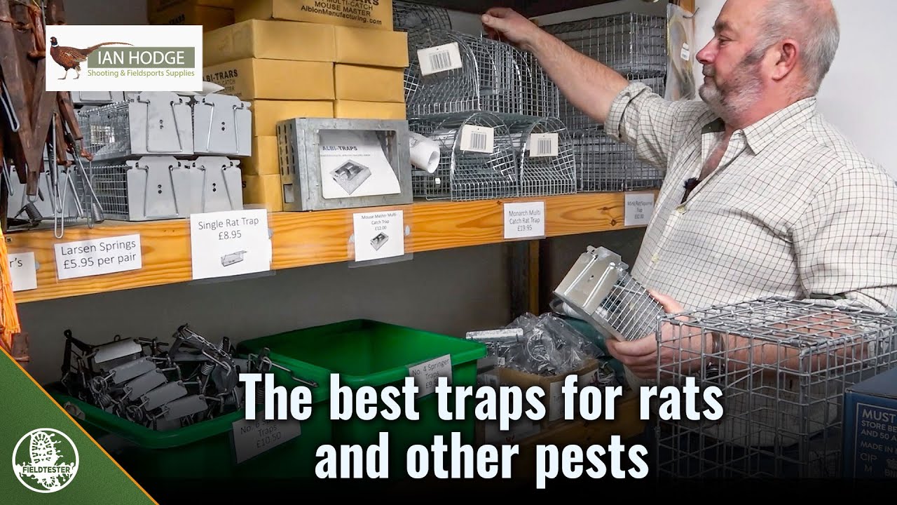 The best traps for rats and other pests