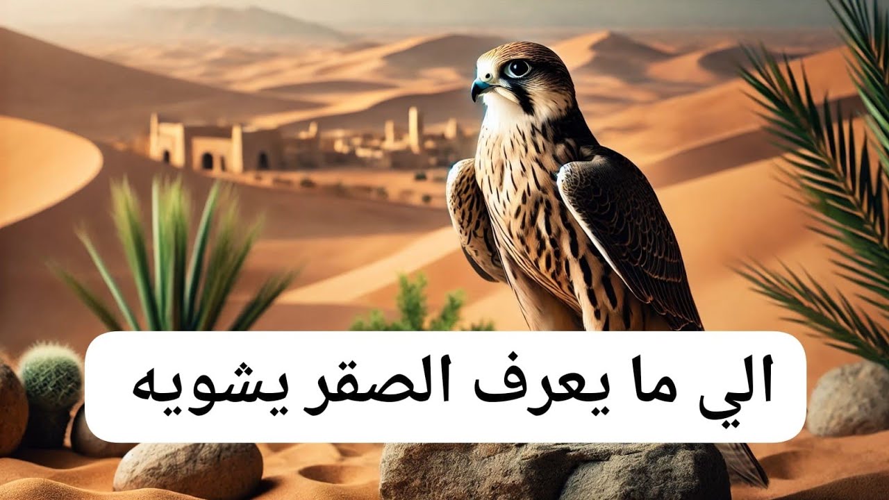 قصة المثل الشعبي  الي ما يعرف الصقر يشويه#قصص #قصة_مثل #قصص_حقيقية #قصة_غريبة #قصص_واقعية