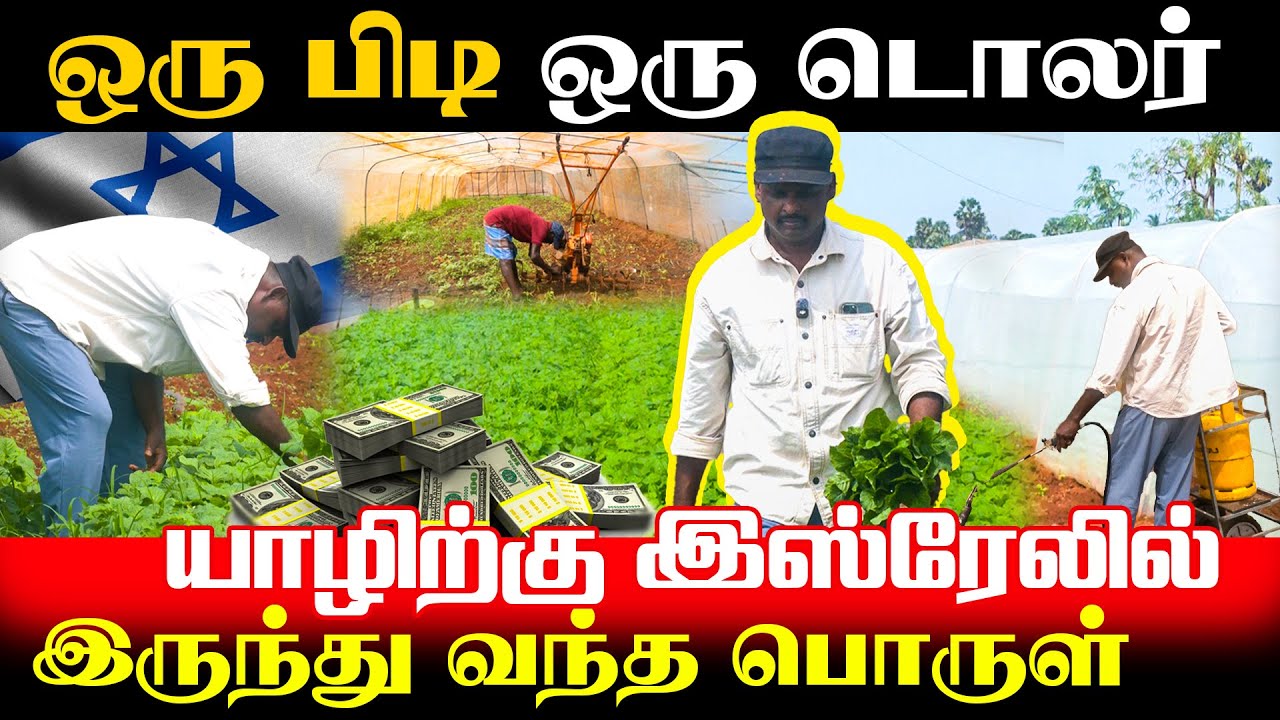 யாழிற்கு இஸ்ரேலில் இருந்து வந்த பொருள் !! #Vasavilan #Orvasani