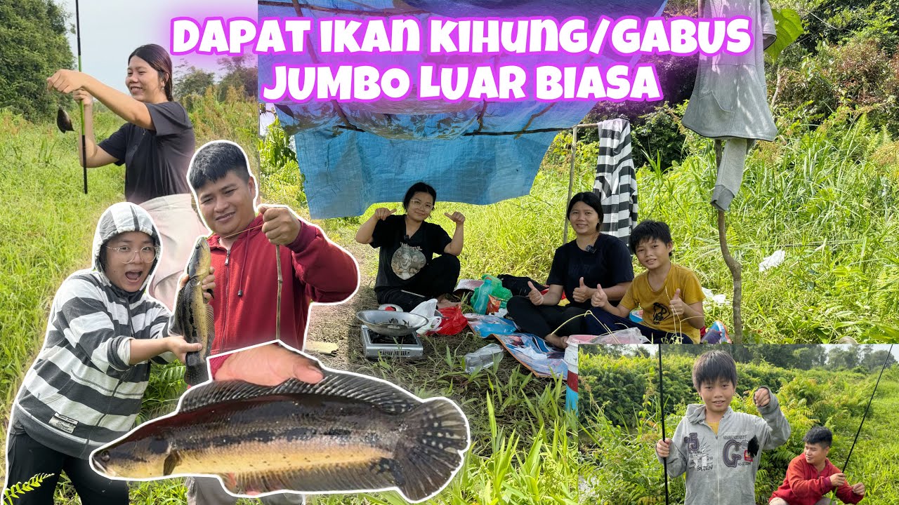 LIHAT KESERUAN KAMI MEMANCING DAN MASAK DI HUTAN