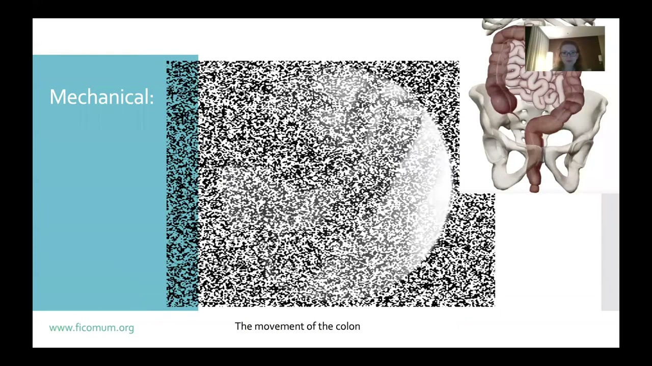 Visceral osteopathy: the background on how it works and what is not possible via visceral treatment