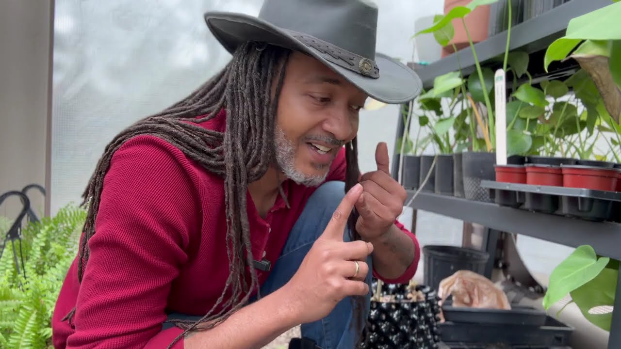 The Joy of Early Seed Starting: My Winter Garden Therapy