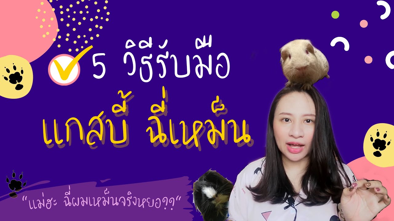 Ep.18 : 5 วิธีเด็ดรับมือ แกสบี้ ฉี่เหม็น! ใช้มาแล้ว ได้ผล👍👍👍