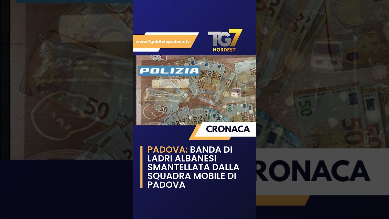 Banda di ladri albanesi arrestata