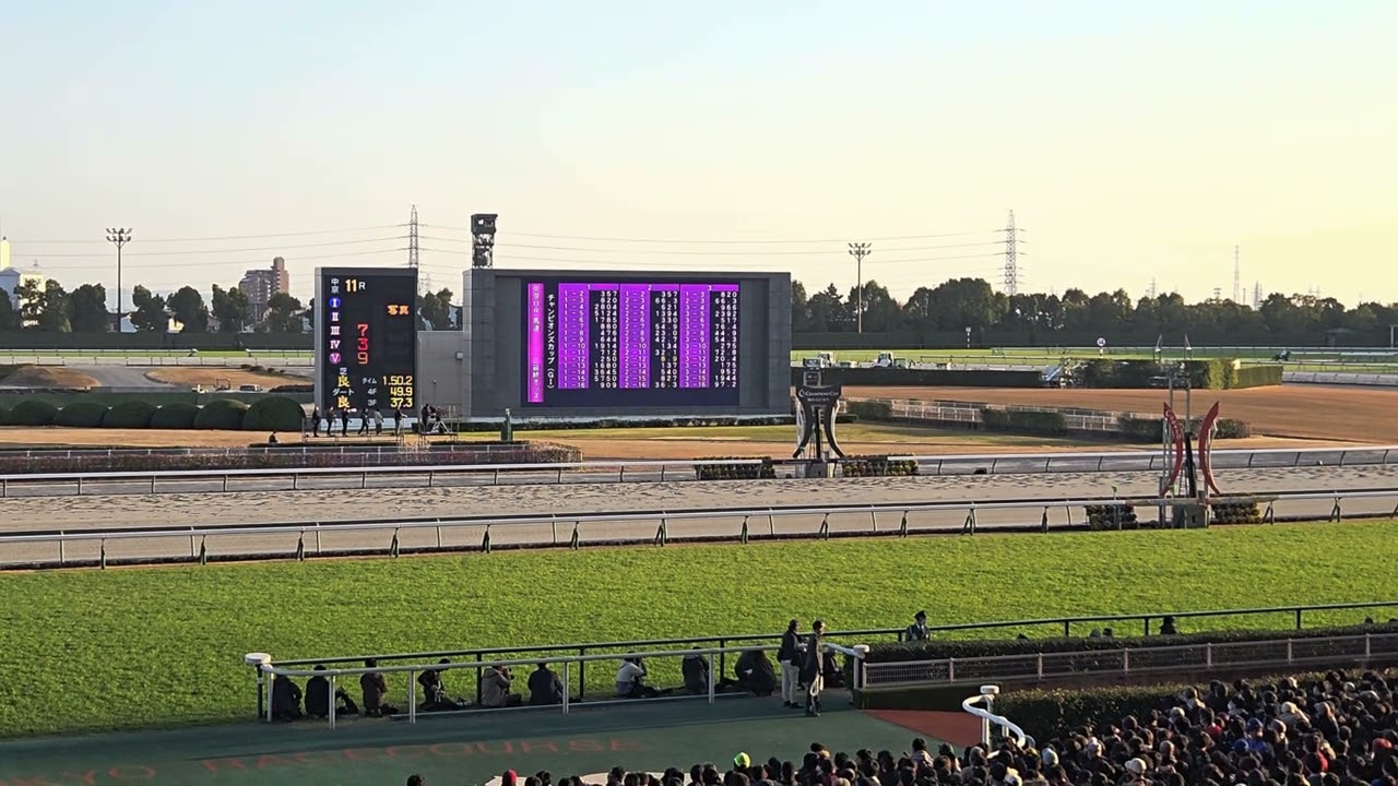 2025/12/7 第26回 チャンピオンズカップ(G1)　中京競馬場