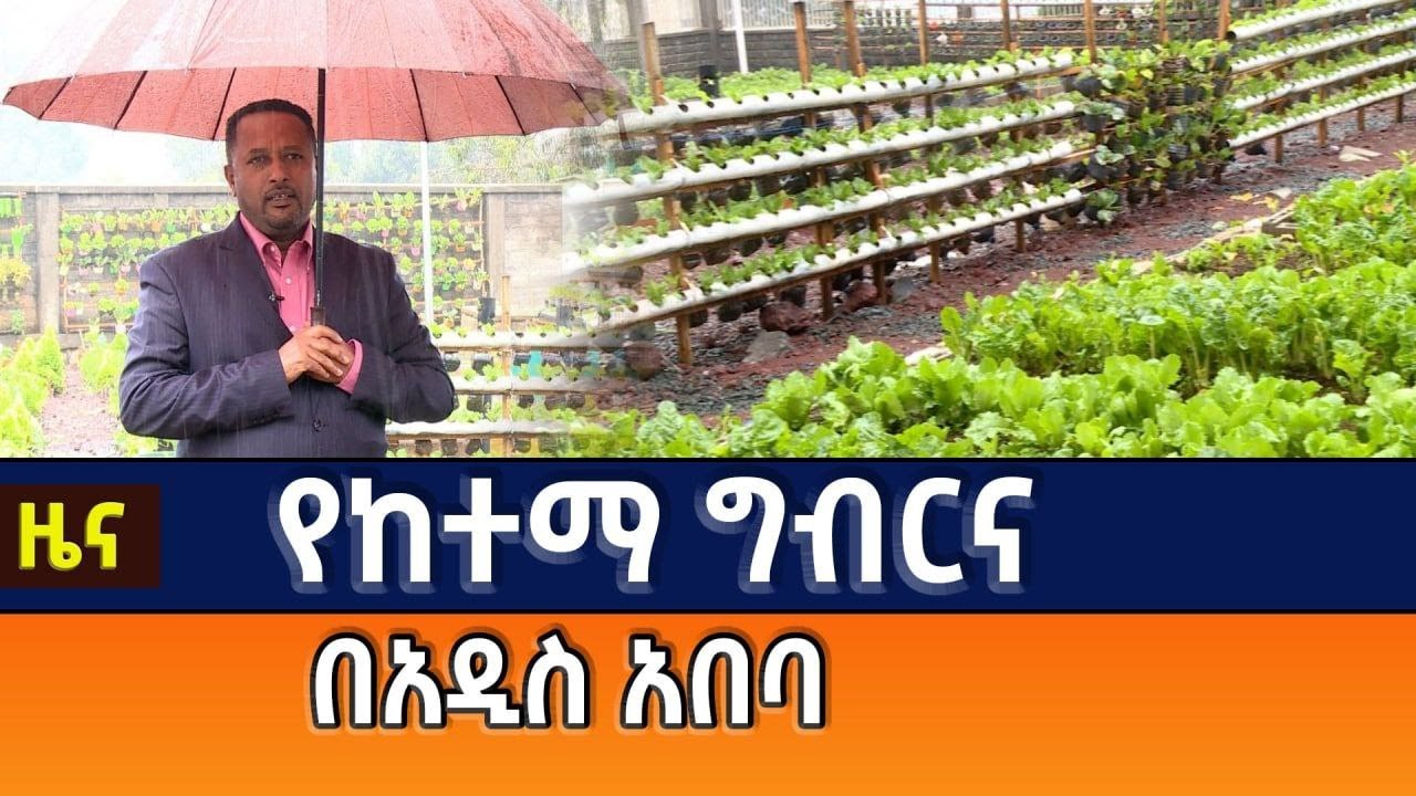 የከተማ ግብርና በአዲስ አበባ