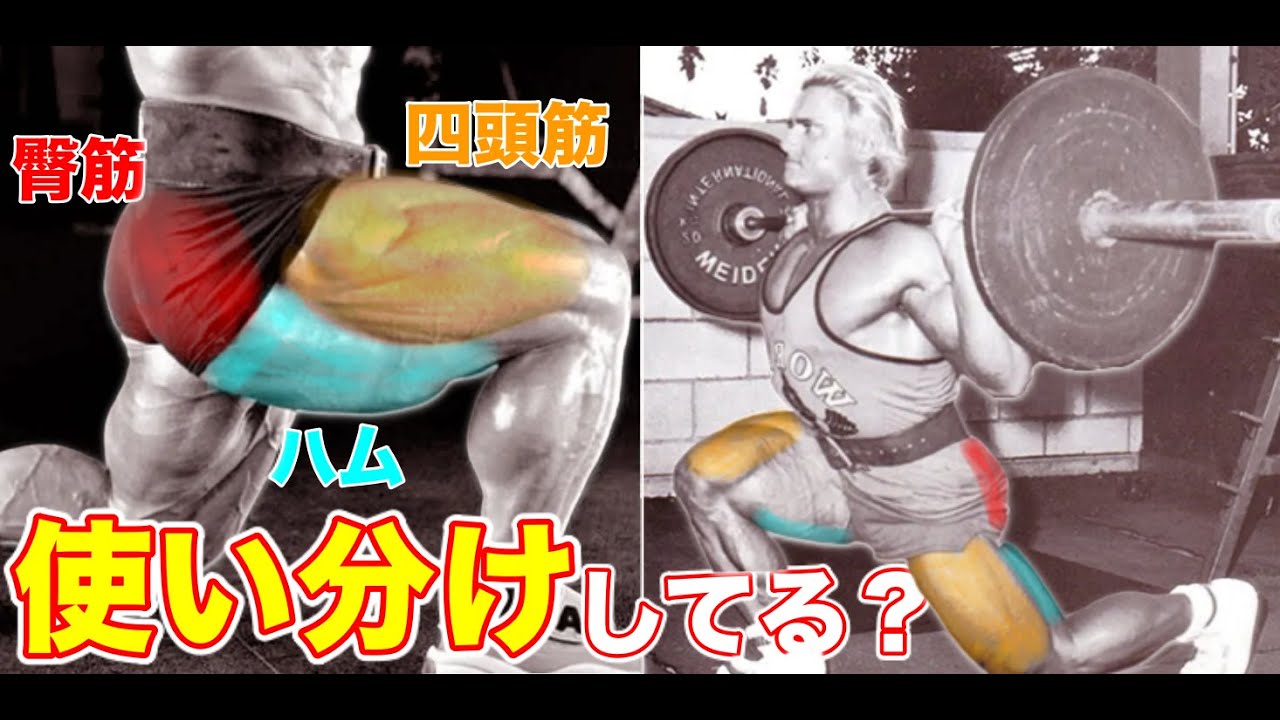 ランジで各部位を分けてトレーニングする方法【筋トレ】