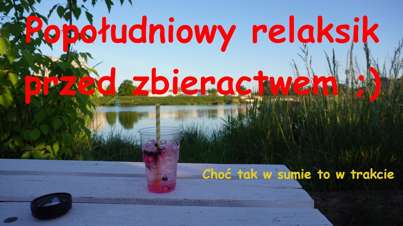 spacer po śmietnikach #1