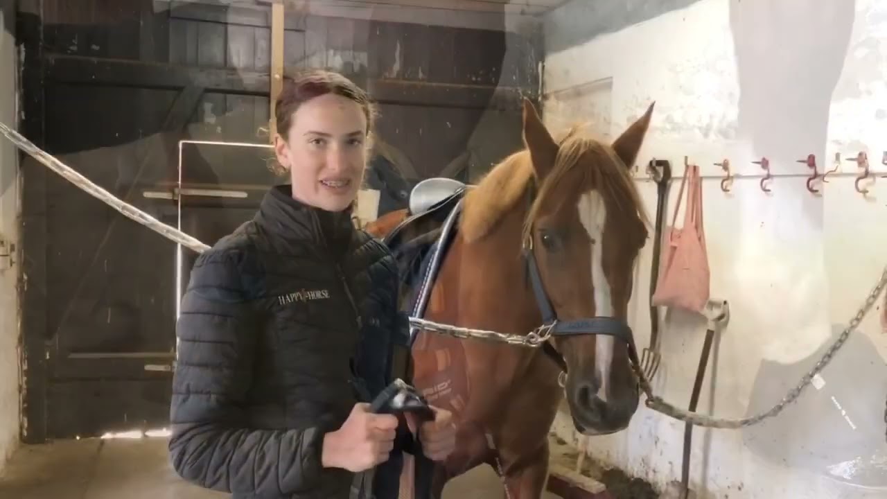 Hvordan sadler man en hest op ?