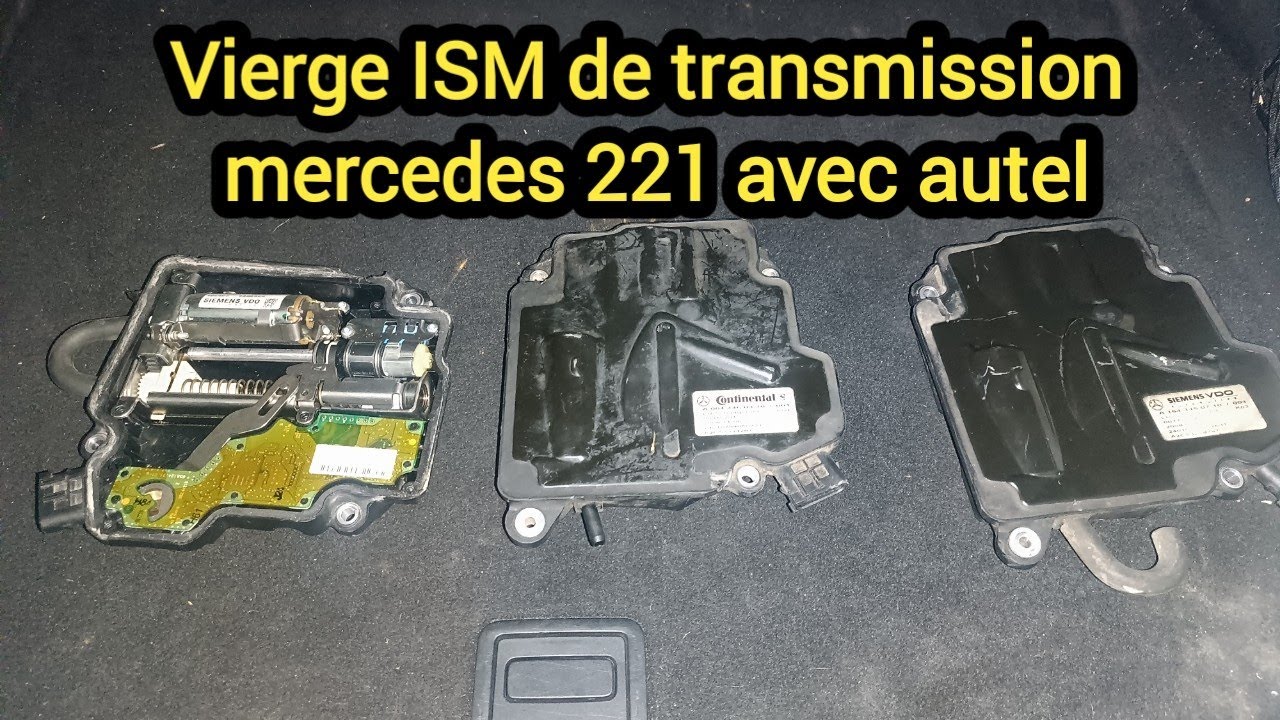 Vierge / renew ISM mercedes 221 avec autel 508s