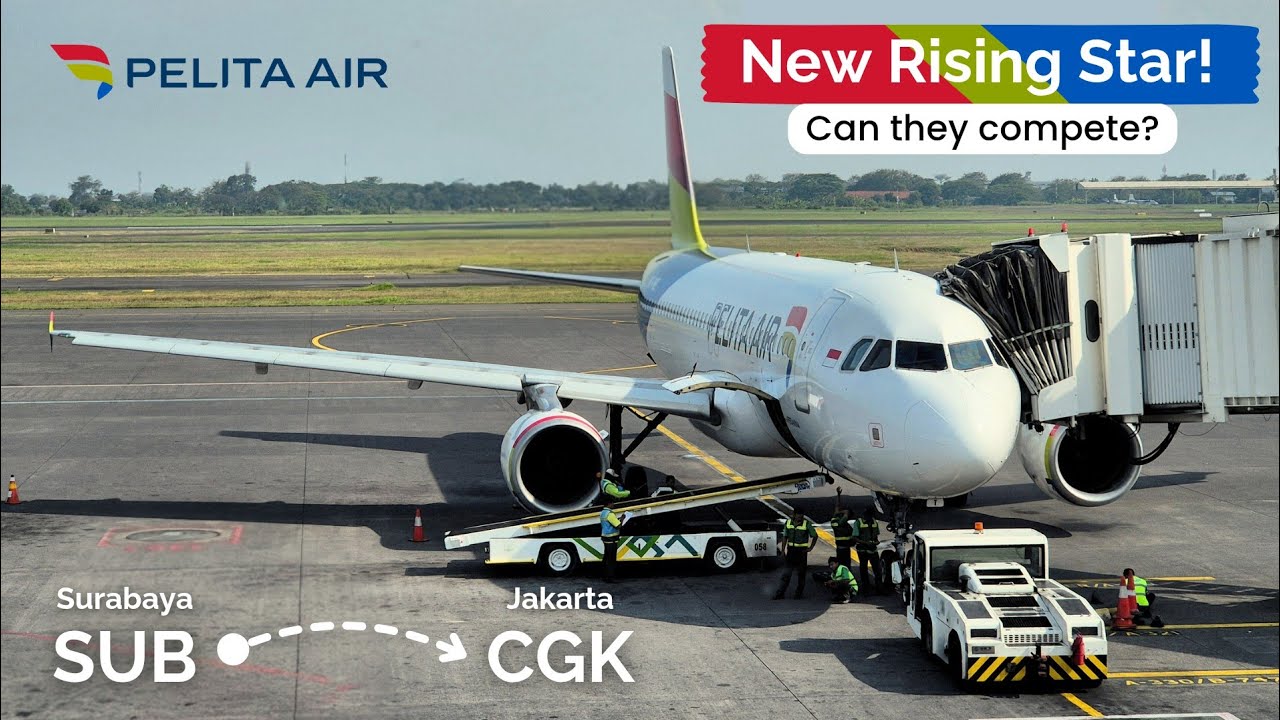 PELITA AIR, THE NEW RISING STAR?! | A320-200 | Economy Class | IP209 | Surabaya - Jakarta