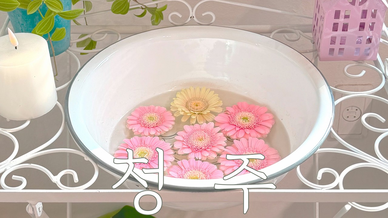 가볍게 나가서 푸파하고 온 청주 나들이 🐽 | 성안길 주차, 짱이네 냉면돈까스, 미결의 미학, 로웨더, 하우스룰즈, 집의 조각들, 소문난부부떡볶이, 쫄쫄호떡