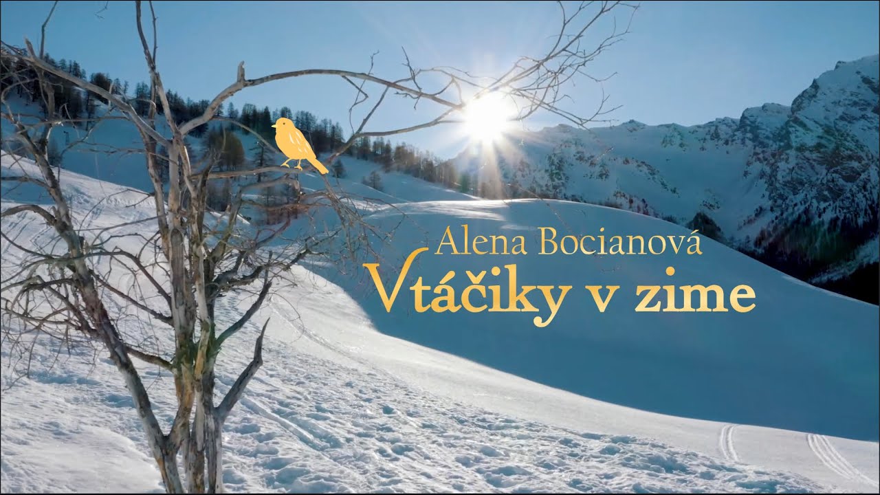 🐤 Vtáčiky v zime - Alena Bocianová