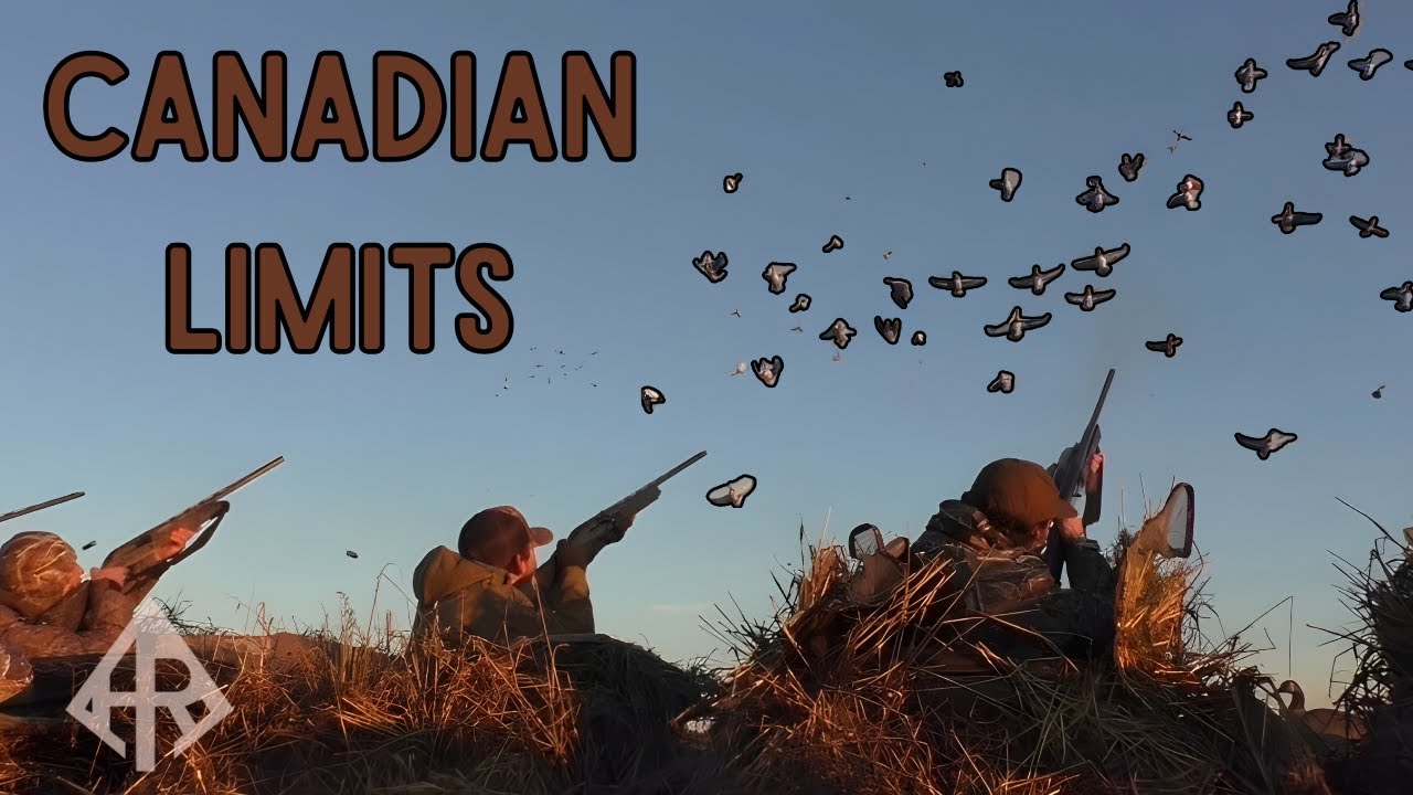 Saskatchewan Canada Duck Hunting | FREELANCE LIMITS