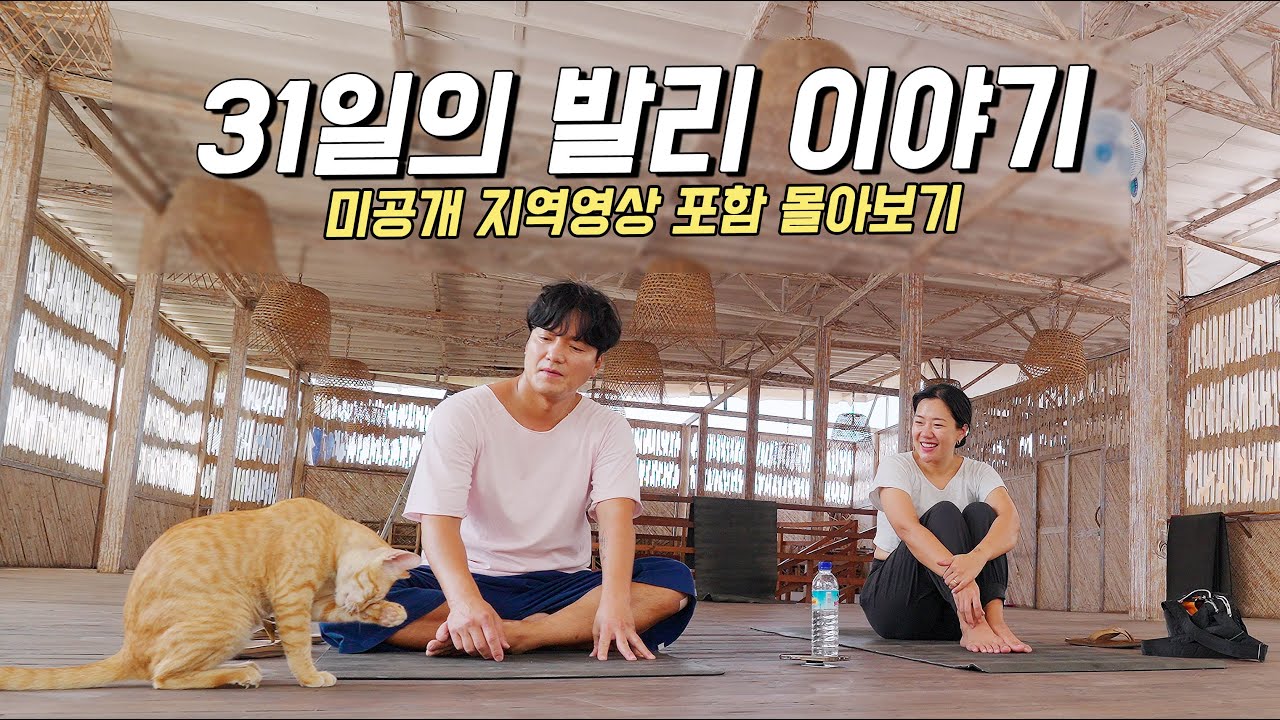 집없는 한국 떠나 낭만을 찾은 발리 한달살기 [몰아보기]