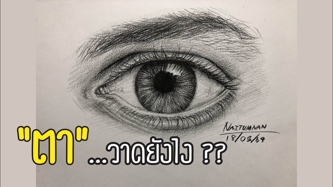 เทคนิคการวาด..ตา ตาวาดยังไง ?? ไปดูกัน