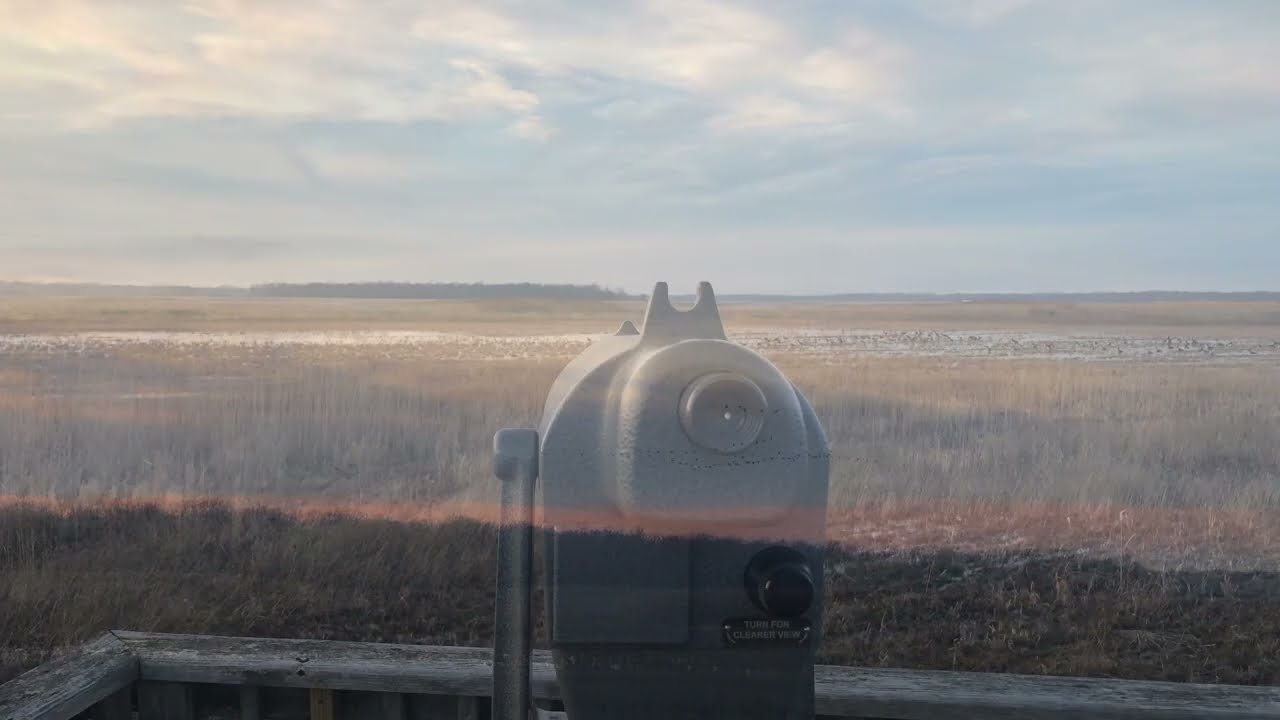 Montezuma National Wildlife Refuge