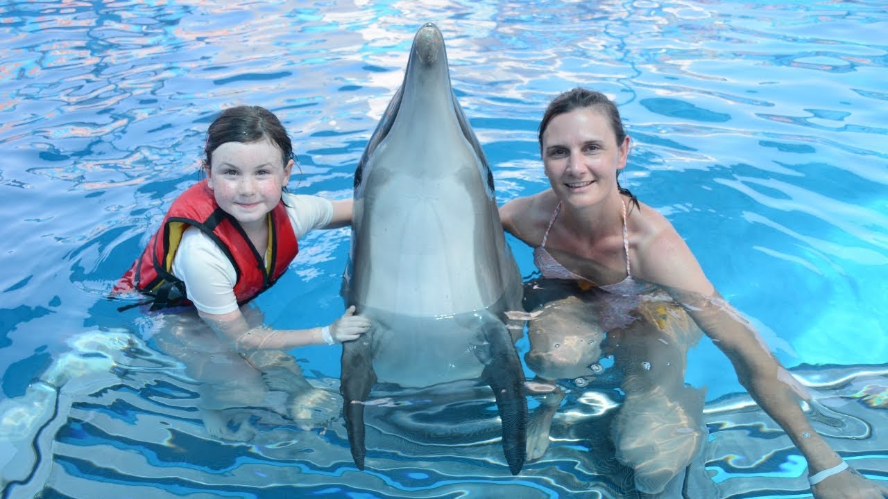 Dolphin World Hurghada