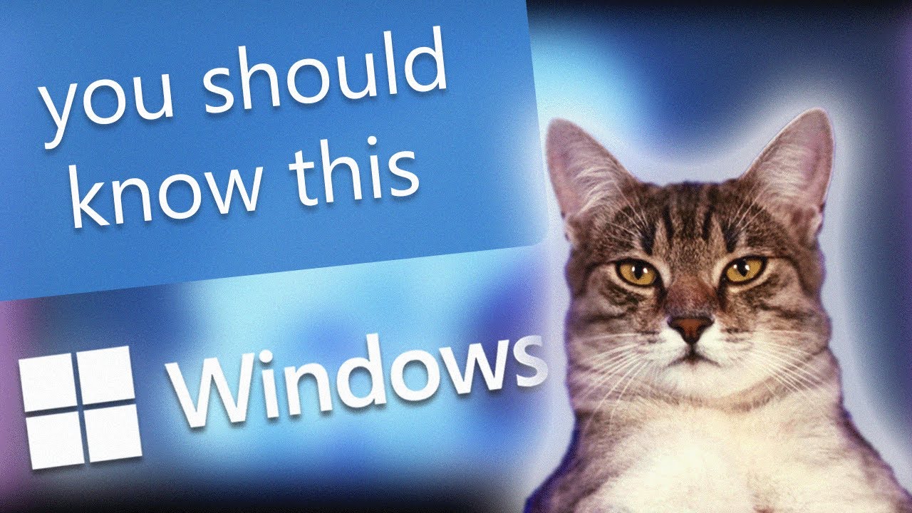 Adorable Tech Cat Explains What The SFC Scan is on Windows 10/11