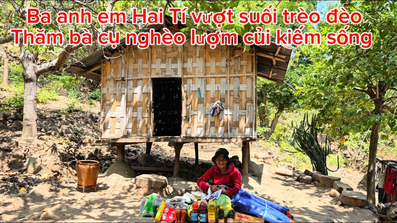 Bà cụ nghèo một mình trên núi cao lượm củi mưu sinh. Tập 37