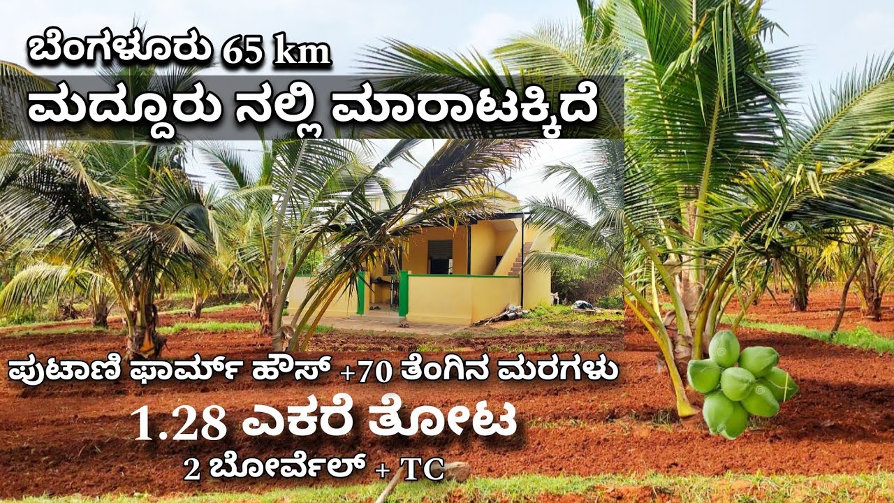 🔴SOLD🔴1.28 Acre Coconut Farmland with Farmhouse Sale in Maddur, Near Channapatna, Charan 7338474634.