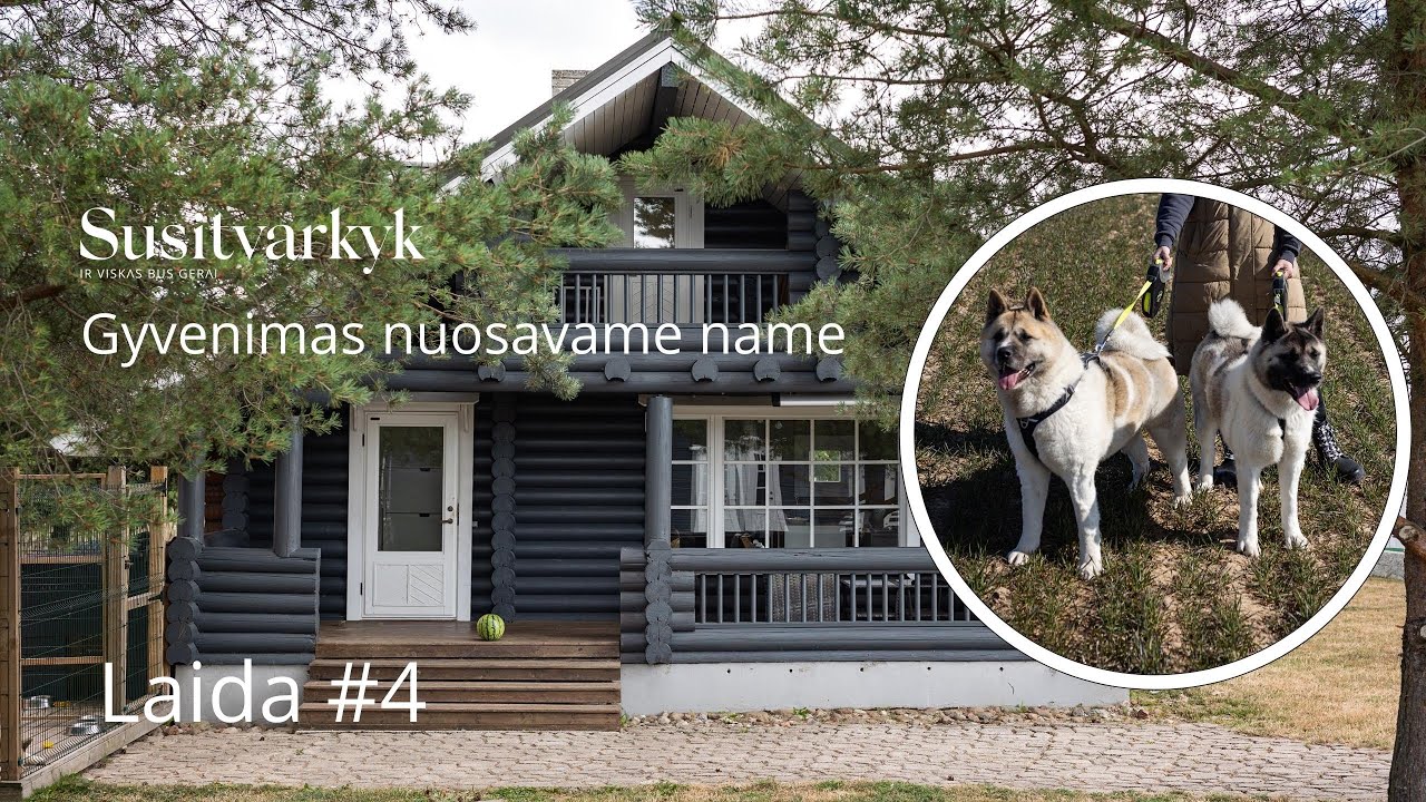#4 Terasos plovimas. Gyvenimas nuosavame name. Šunų kirpykla | SUSITVARKYK