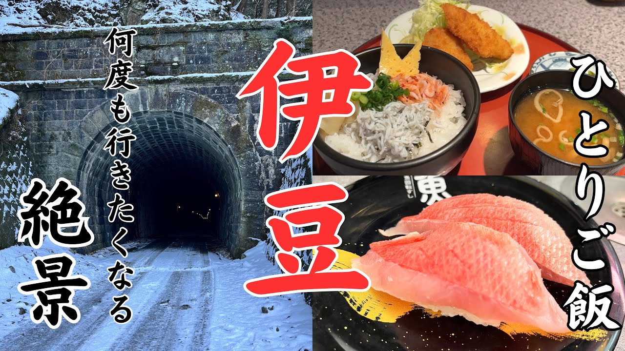 【最高の伊豆旅行】伊豆の旅でかかせない旧天城トンネルと富士山を望む碧テラスを訪れ、わさび丼と金目鯛、アジフライに舌鼓を打った１日！